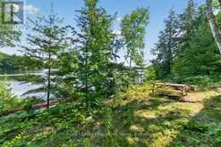 3310 SHABOMEKA LAKE | Addington Highlands Ontario | Slide Image Forty-two