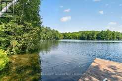 3310 SHABOMEKA LAKE | Addington Highlands Ontario | Slide Image Forty-seven