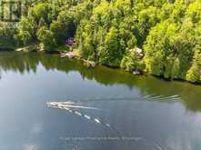 3310 SHABOMEKA LAKE | Addington Highlands Ontario | Slide Image Forty-nine
