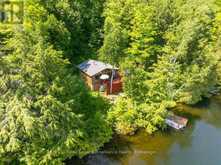 3310 SHABOMEKA LAKE | Addington Highlands Ontario | Slide Image Five