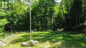 118 BAY LAKE ROAD | Bancroft Ontario | Slide Image Thirty-two