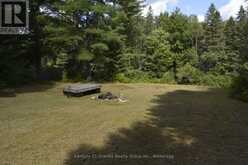 205 GLORY ROAD | Bancroft Ontario | Slide Image Ten