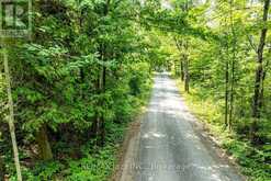 147 FIRE ROUTE 8 | Havelock-Belmont-Methuen Ontario | Slide Image Twenty-two