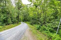 147 FIRE ROUTE 8 | Havelock-Belmont-Methuen Ontario | Slide Image Thirty-nine