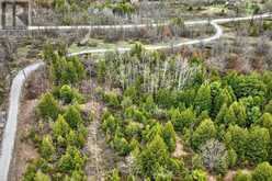 165 COUNTY RD 507 | North Kawartha Ontario | Slide Image Forty-one