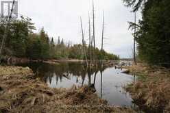 165 COUNTY RD 507 | North Kawartha Ontario | Slide Image Forty-three