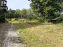 181 CHEMAUSHGON ROAD | Bancroft Ontario | Slide Image Eleven