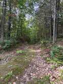 181 CHEMAUSHGON ROAD | Bancroft Ontario | Slide Image Two