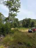181 CHEMAUSHGON ROAD | Bancroft Ontario | Slide Image Seven