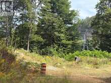 181 CHEMAUSHGON ROAD | Bancroft Ontario | Slide Image Nine