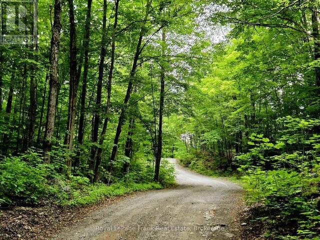 0 NORTH RUSAW ROAD Apsley Ontario, K0L 1A0 - Vacant Land For Sale