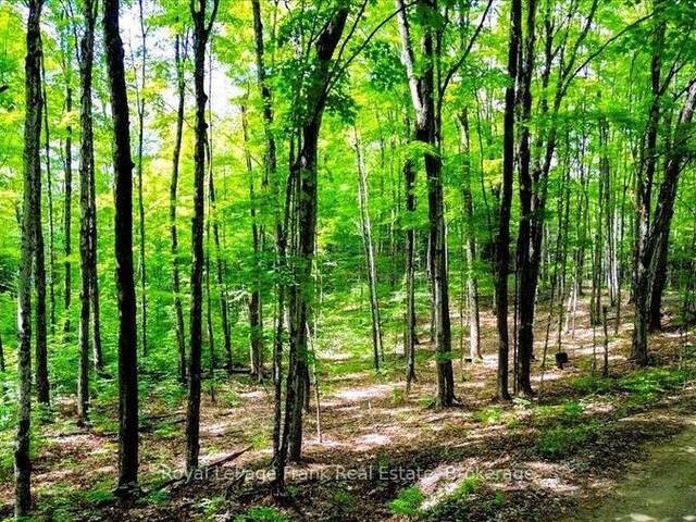 0 NORTH RUSAW ROAD Apsley Ontario, K0L 1A0 - Vacant Land For Sale