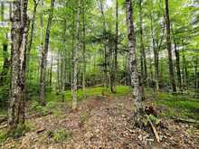 0 NORTH RUSAW ROAD | Apsley Ontario | Slide Image Nineteen