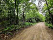 0 NORTH RUSAW ROAD | Apsley Ontario | Slide Image Twenty-one