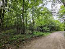 0 NORTH RUSAW ROAD | Apsley Ontario | Slide Image Twenty-nine