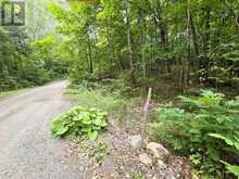 0 NORTH RUSAW ROAD | Apsley Ontario | Slide Image Thirty