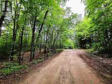 0 NORTH RUSAW ROAD | Apsley Ontario | Slide Image Thirty-one