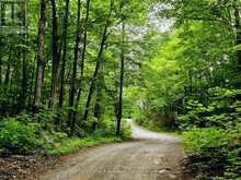 0 NORTH RUSAW ROAD | Apsley Ontario | Slide Image Two
