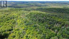0 NORTH RUSAW ROAD | Apsley Ontario | Slide Image Three