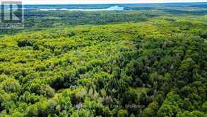 0 NORTH RUSAW ROAD | Apsley Ontario | Slide Image Seven