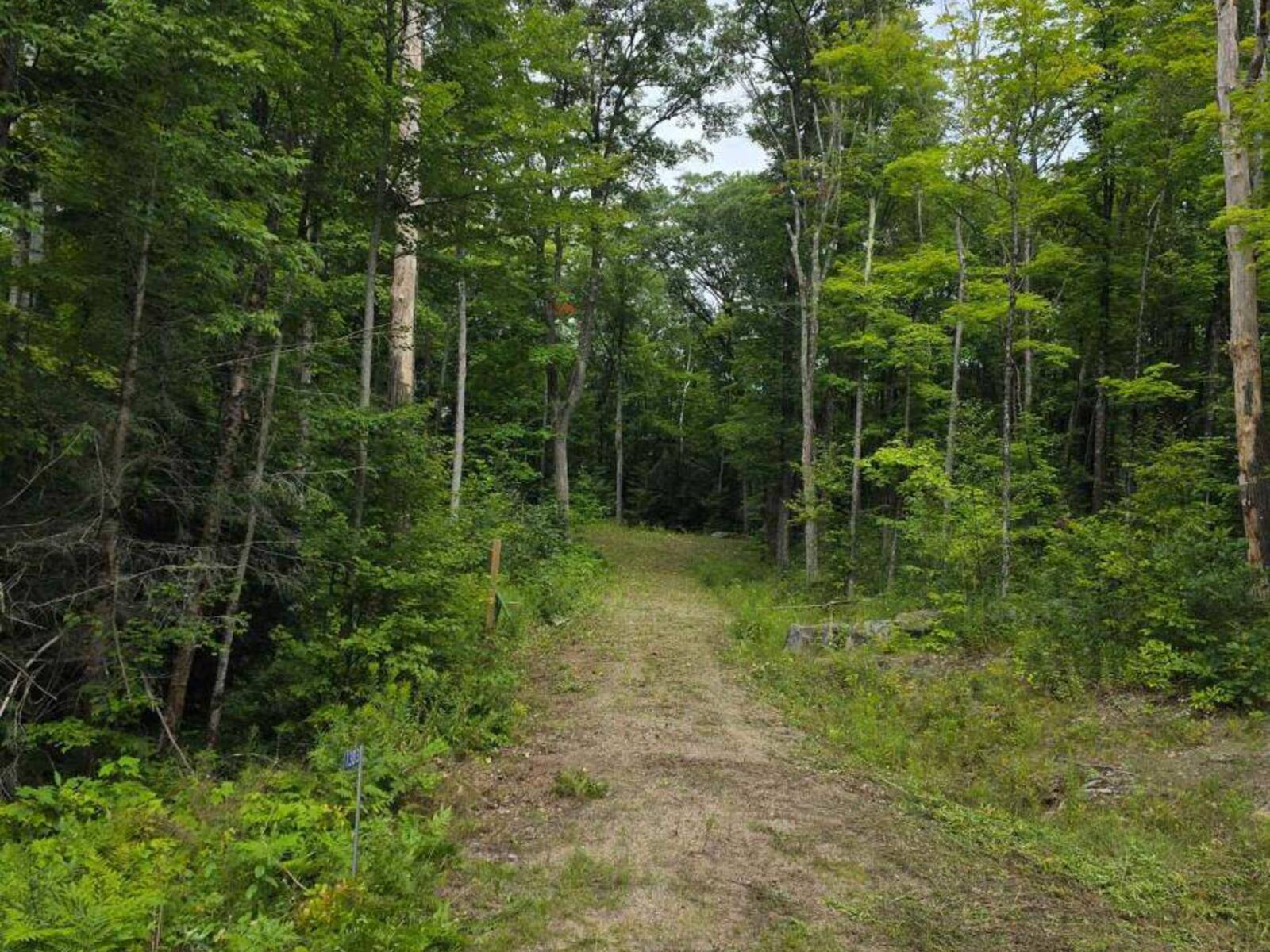 1303 WHITES ROAD, Arden, Ontario K0H 1B0