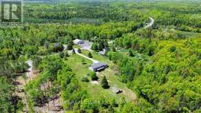 1696 COUNTY ROAD 504 ROAD | Apsley Ontario | Slide Image Forty-two
