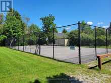 4-8-2 - 6 GOLDROCK ROAD | Coboconk Ontario | Slide Image Thirty-three