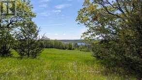 00 HICKORY BAY ROAD | Campbellford Ontario | Slide Image Twenty-eight