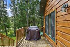 203 DOC EVANS ROAD | Apsley Ontario | Slide Image Thirteen