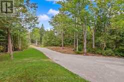 203 DOC EVANS ROAD | Apsley Ontario | Slide Image Nineteen