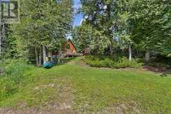 203 DOC EVANS ROAD | Apsley Ontario | Slide Image Twenty