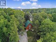 203 DOC EVANS ROAD | Apsley Ontario | Slide Image Four