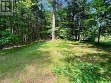 2495 FLINTON ROAD | Tweed Ontario | Slide Image Two