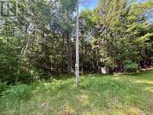 2495 FLINTON ROAD | Tweed Ontario | Slide Image Five