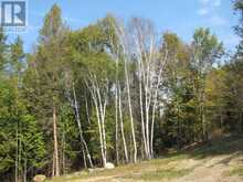1054 CENTRE LINE ROAD | Marmora Ontario | Slide Image Six