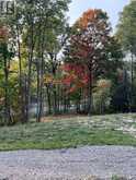 1054 CENTRE LINE ROAD | Marmora Ontario | Slide Image Nine