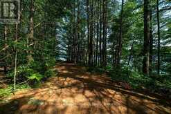 LOT 2 - 1402 BAKER VALLEY ROAD | Arden Ontario | Slide Image Twenty-nine