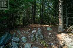 LOT 1 - 1412 BAKER VALLEY ROAD | Arden Ontario | Slide Image Thirty-four