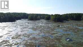 PL29C10 KENNEBEC ROAD | Addington Highlands Ontario | Slide Image Twelve