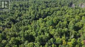PL29C10 KENNEBEC ROAD | Addington Highlands Ontario | Slide Image Seventeen