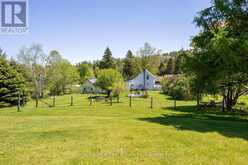 168 ELDER ROAD | Alnwick-Haldimand Ontario | Slide Image Thirty-seven