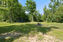 3186 BUCKHORN ROAD | North Kawartha Ontario | Slide Image Forty-five