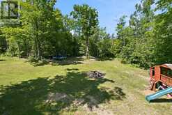 3186 BUCKHORN ROAD | North Kawartha Ontario | Slide Image Forty-six