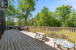 3186 BUCKHORN ROAD | North Kawartha Ontario | Slide Image Forty-eight