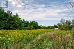 194 COUNTY RD 10 | Cavan-Monaghan Ontario | Slide Image Forty-one