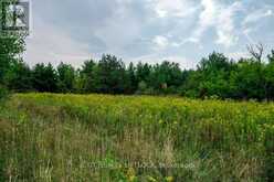 194 COUNTY RD 10 | Cavan-Monaghan Ontario | Slide Image Forty-two