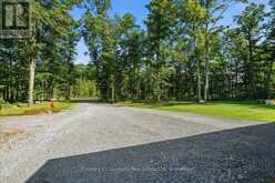393 WOOD ROAD | Madoc Ontario | Slide Image Forty-five