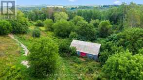 389 HAYNES ROAD | Cramahe Ontario | Slide Image Nine