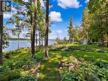 113 SUGARBUSH CRESCENT | North Kawartha Ontario | Slide Image Forty