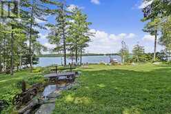 113 SUGARBUSH CRESCENT | North Kawartha Ontario | Slide Image Four